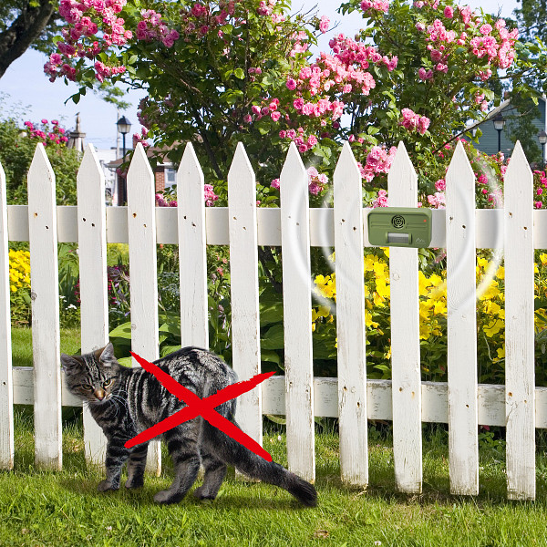 Hunde- und Katzenabwehr